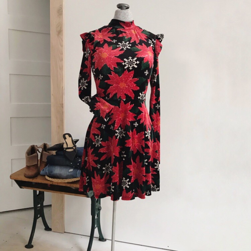 Velvet Christmas holiday poinsettia skater dress